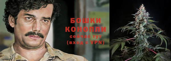 соль ск Ветлуга