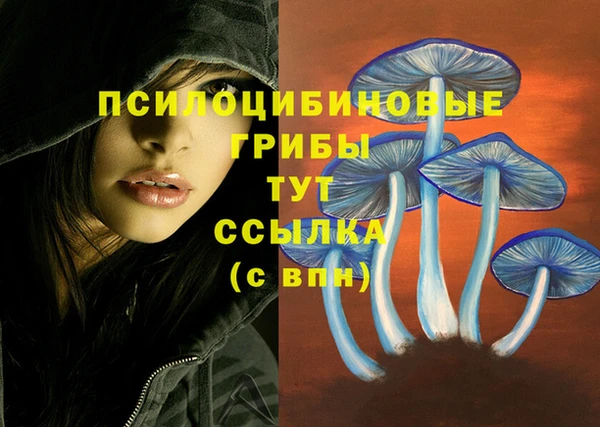 амфетамин Белокуриха