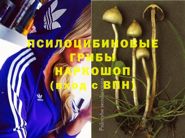 спайс Беломорск